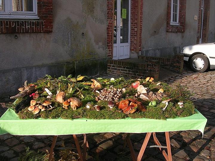 2008 10 Expo Bergerie Rambouillet 50